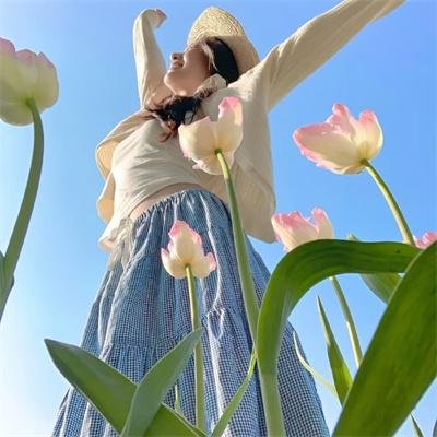 月球探秘